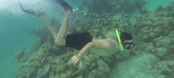 Snorkeling en Akumal