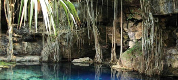 Cenote X’Batún