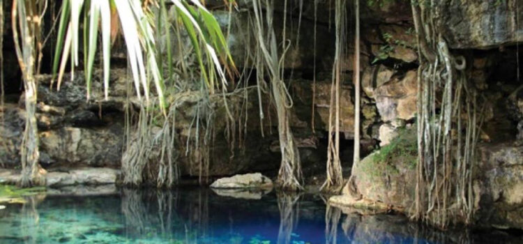 Cenote X’Batún