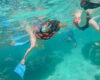 Snorkeling tour at Banco Chinchorro from Costa Maya