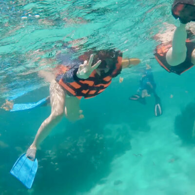 Tour de snorkel en Banco Chinchorro desde Costa Maya